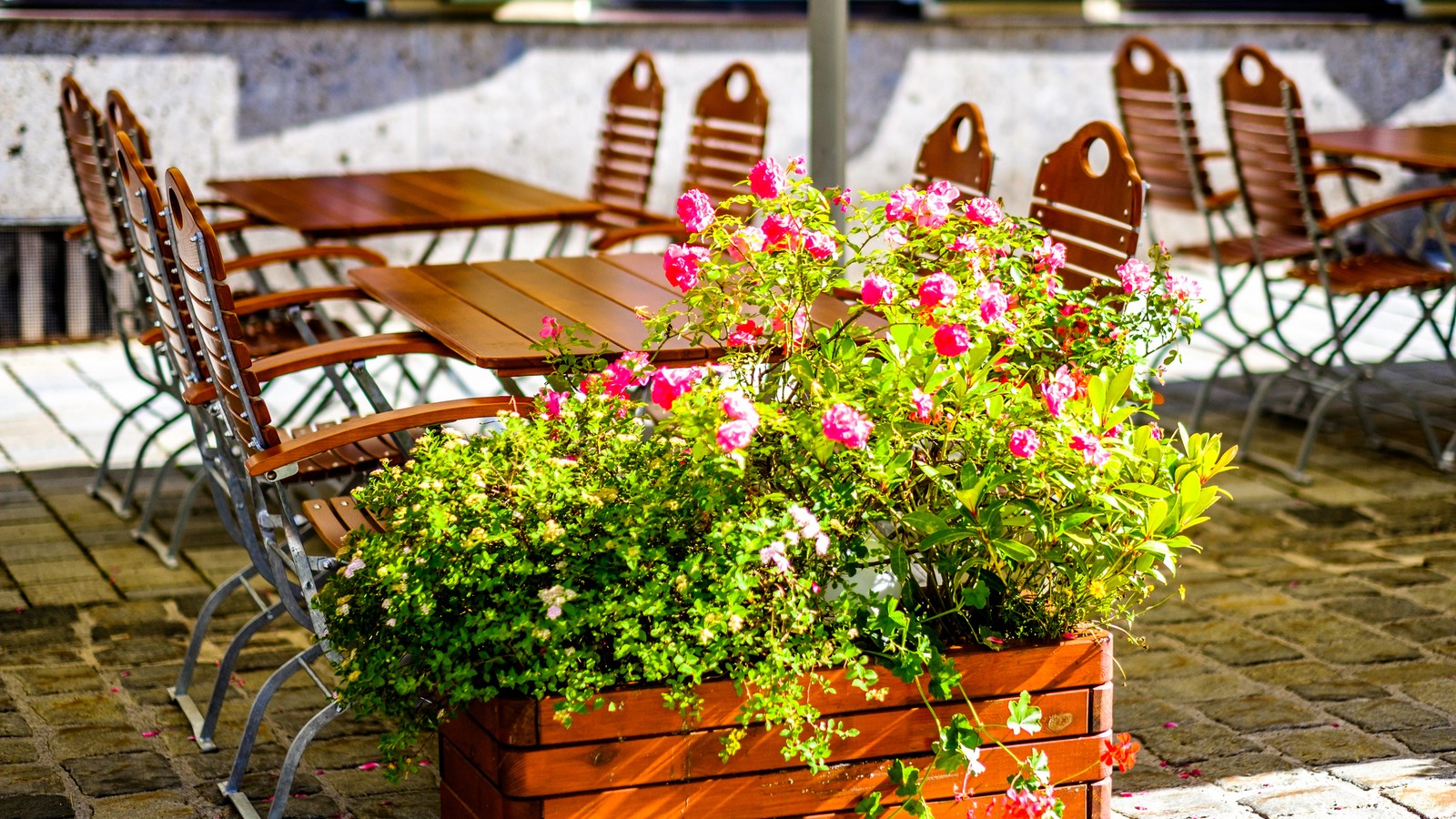 Coronavirus: DAS ist ab sofort verboten! 72 Restaurant