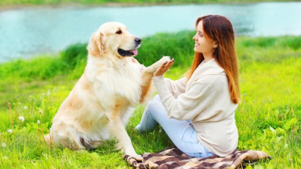 Hund und Frauchen