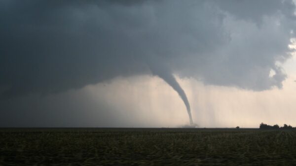 Tornado