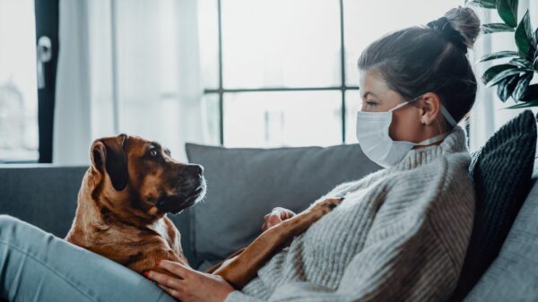 Was ist während Quarantäne erlaubt?