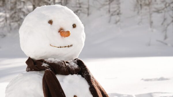 Schnee