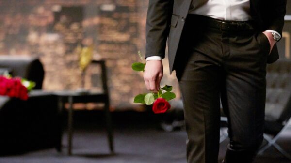 Der Bachelor