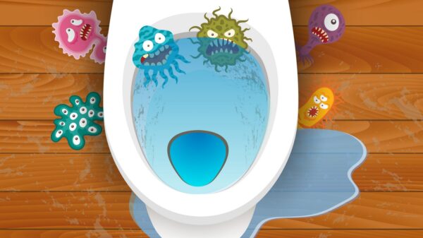 Toilette