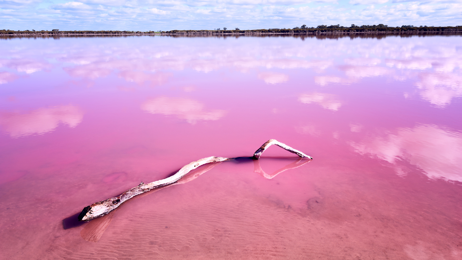 Deshalb sind diese Seen pink