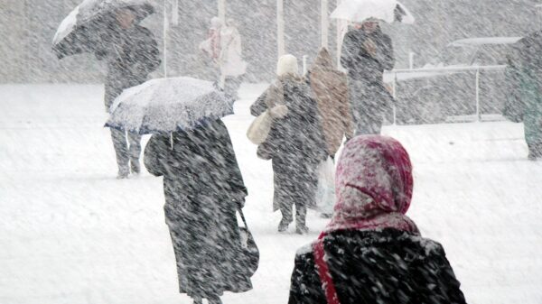 Schnee