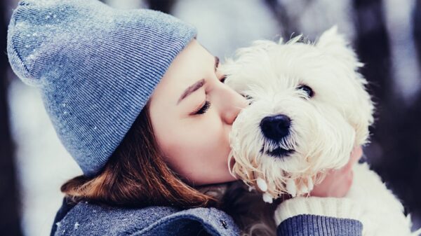 Hund