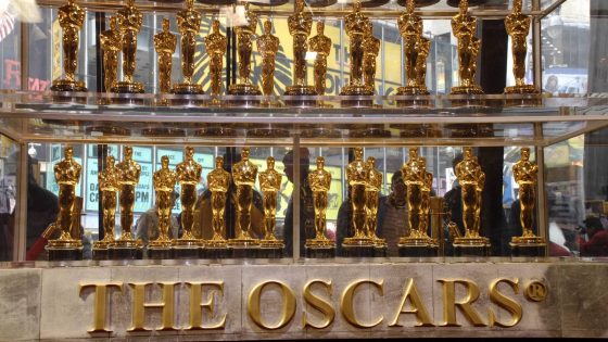 Das sind die wichtigsten Kategorien der Oscars