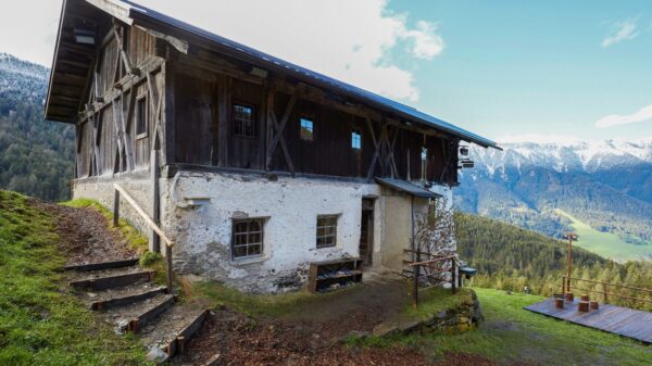 "Die Alm" 2021