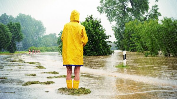 Regen