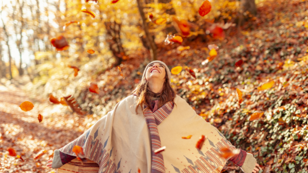 Das solltest du im Herbst getan haben