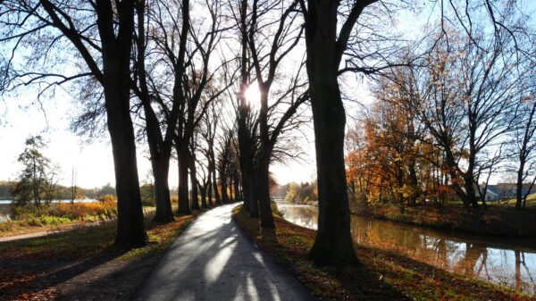 Frühling