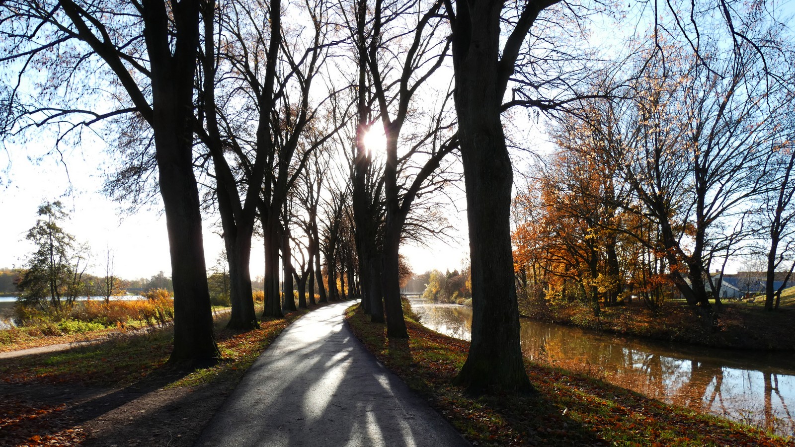 Frühling