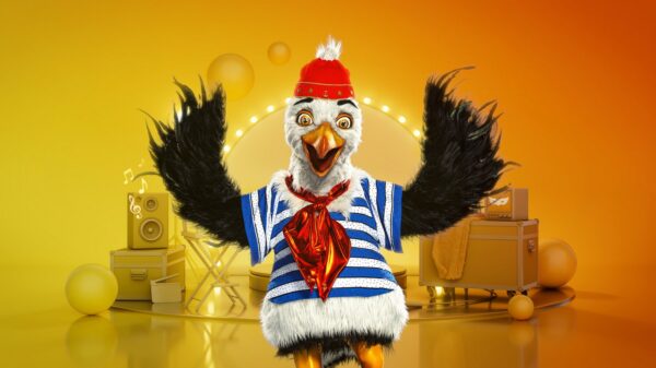 Die Möwe bei "The Masked Singer"