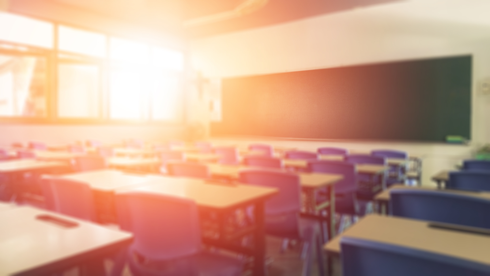 Das sind die verrücktesten Studiengänge