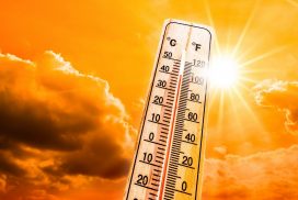 44 Grad! Experten warnen: "Bleibt zu Hause, das ist eine Notlage" - doch die Rekord-Hitze endet mit einem Knall 62 44 Grad! Experten warnen: „Bleibt zu Hause, das ist eine Notlage“ – doch die Rekord-Hitze endet mit einem Knall