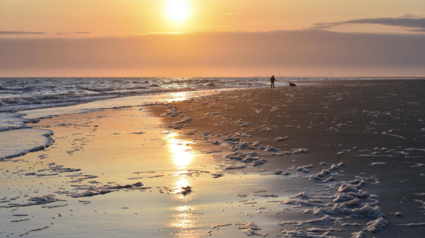 An diesem Strand werden gruselige Puppen angespült