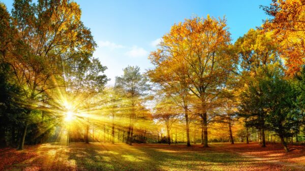Sonne im Herbst
