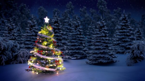 Weiße Weihnachten