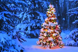 Fällt Schnee an den Festtagen? So stehen die Chancen auf weiße Weihnachten 2025 62 Fällt Schnee an den Festtagen? So stehen die Chancen auf weiße Weihnachten 2025
