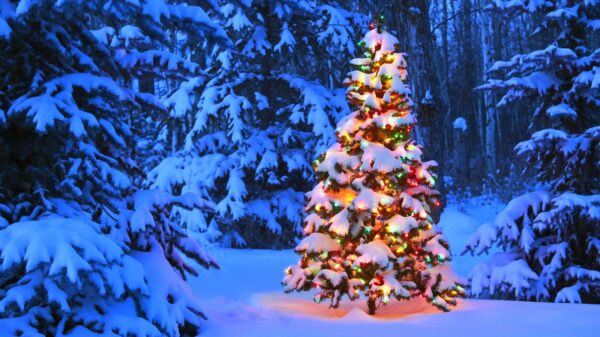 Schnee zu Weihnachten