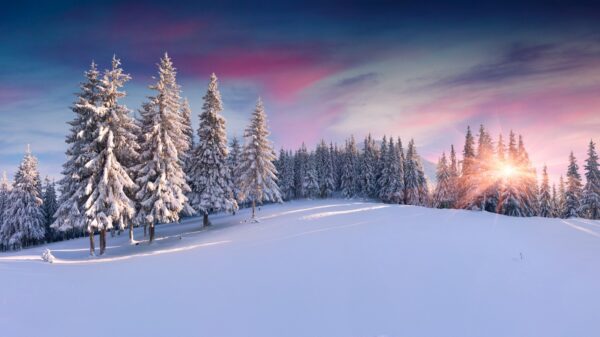 Schnee