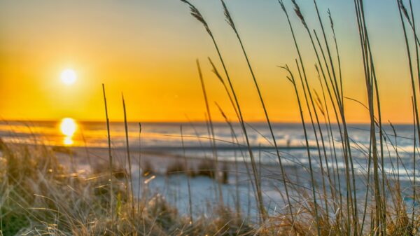 Sommer