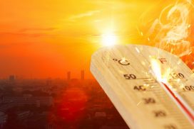 Bis zu 36 Grad möglich: Extreme Hitzewelle rollt auf Deutschland zu 63 Bis zu 36 Grad möglich: Extreme Hitzewelle rollt auf Deutschland zu