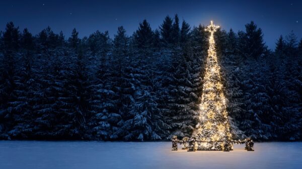 Weiße Weihnachten 2023