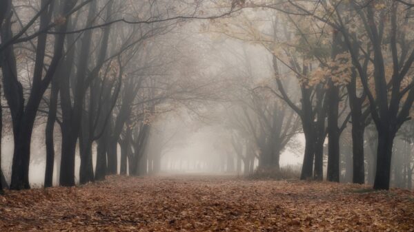 Nebel