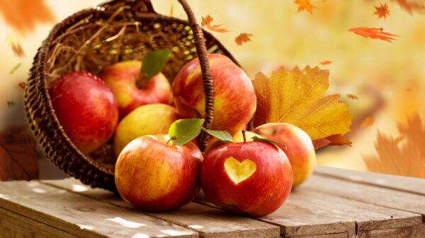 Apfel