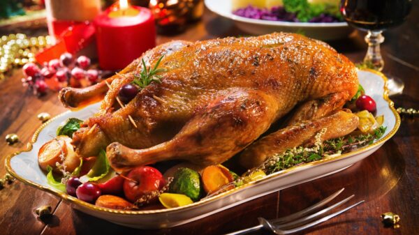 Gans zu Weihnachten