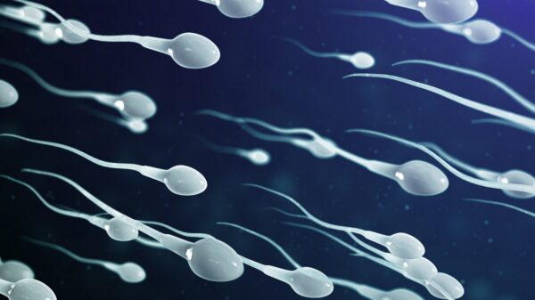 Sperma