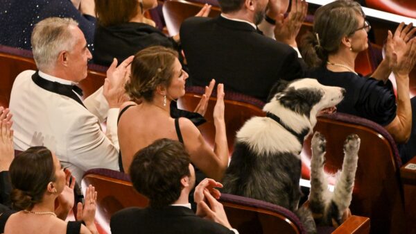 Hund Messi bei den Oscars 2024