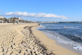 Brutale Tat auf Mallorca: Deutscher Urlauber am Ballermann niedergestochen 68 Brutale Tat auf Mallorca: Deutscher Urlauber am Ballermann niedergestochen