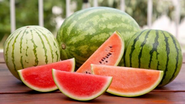 Wassermelone
