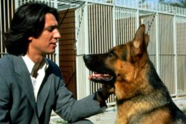 "Kommissar Rex": Das machen die Serien-Stars heute 67 „Kommissar Rex“: Das machen die Serien-Stars heute