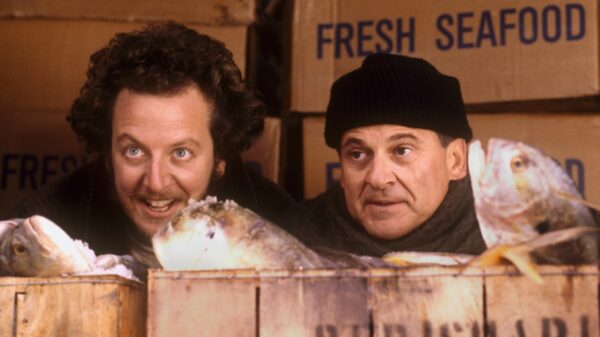 Marv und Harry bei "Kevin - Allein in New York"