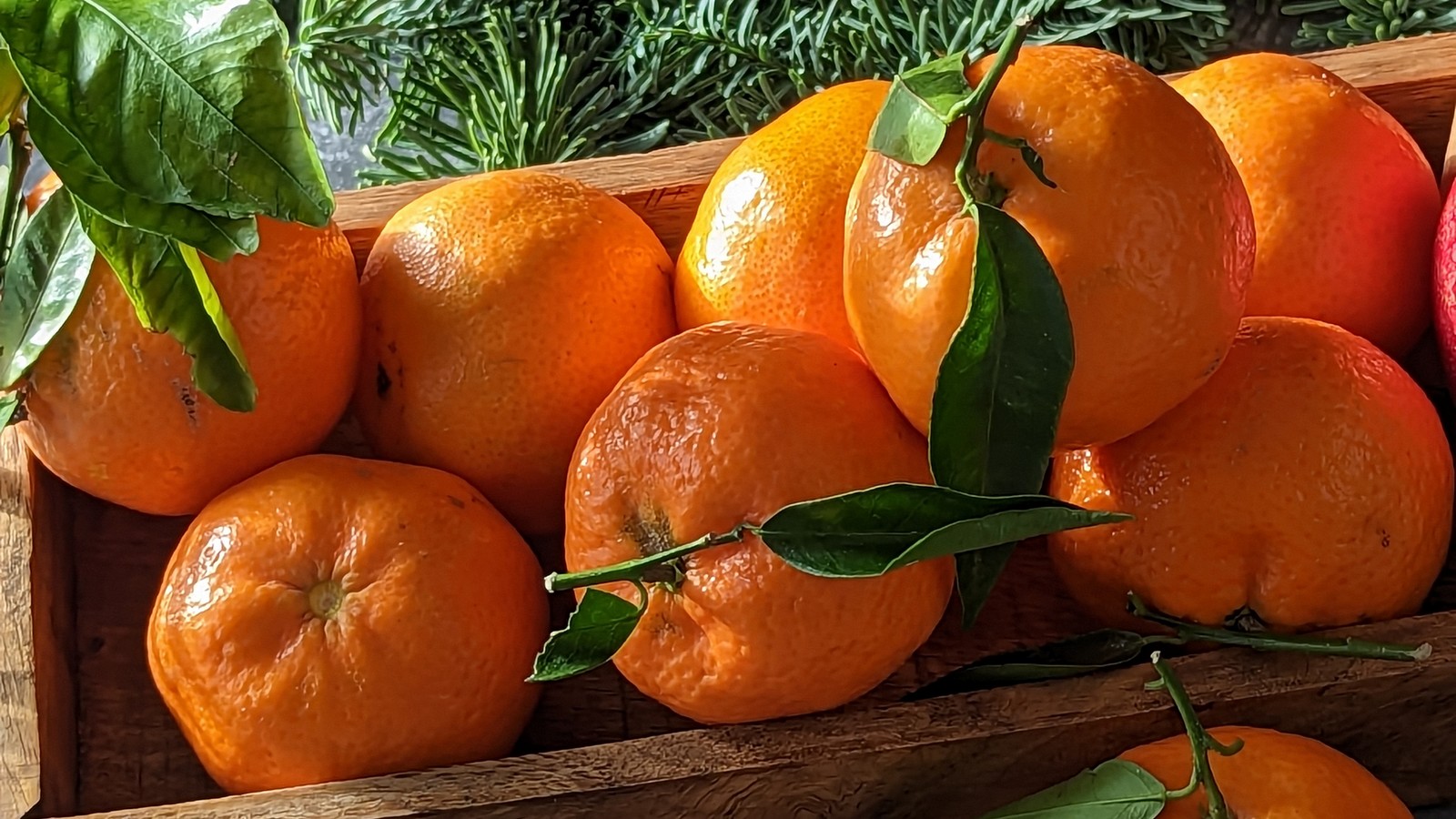 Mandarinen