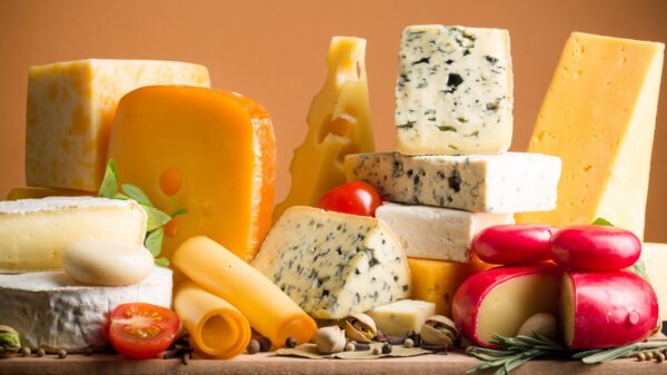 Käse