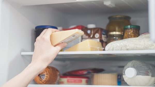 Käse im Kühlschrank