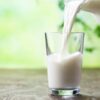 Milch