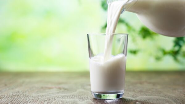 Milch