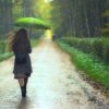 Regenschirm