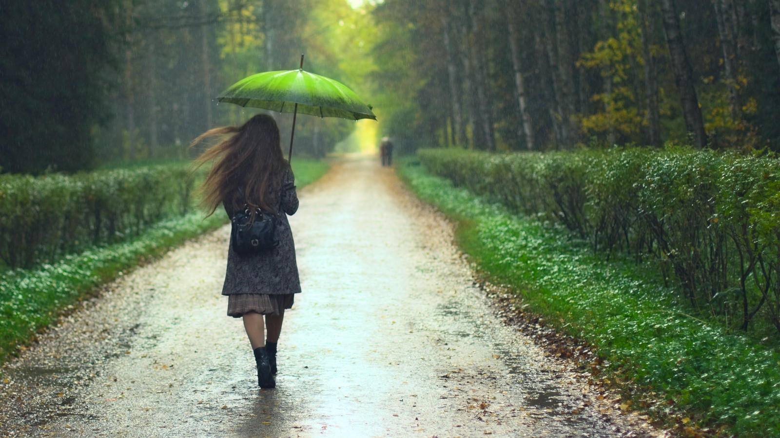 Diesen Fehler machen alle beim Regenschirm trocknen 61 Regenschirm