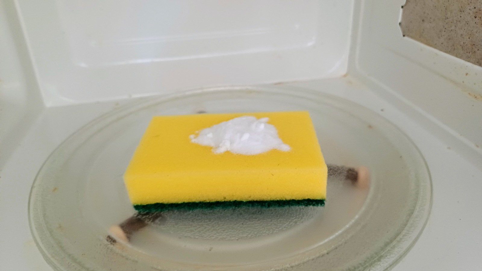 Küchenschwamm in der Mikrowelle reinigen - darum ist das keine gute Idee 61 Schwamm in der Mikrowelle