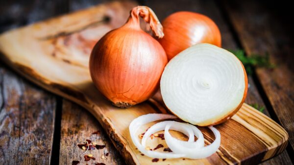 Zwiebel