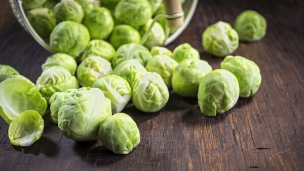 Rosenkohl