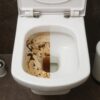 Toilette verstopft