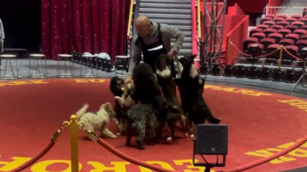 Wolfgang Lauenburger