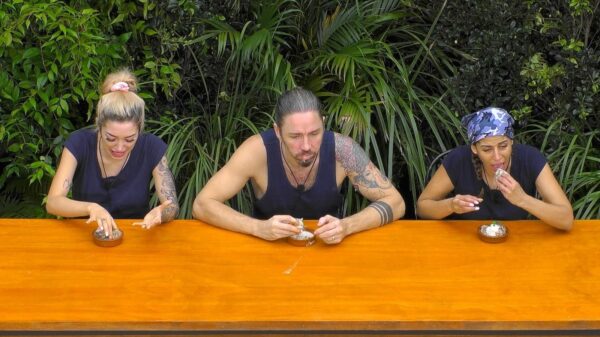 Ariel, Gil und Ariel im Dschungelcamp 2026